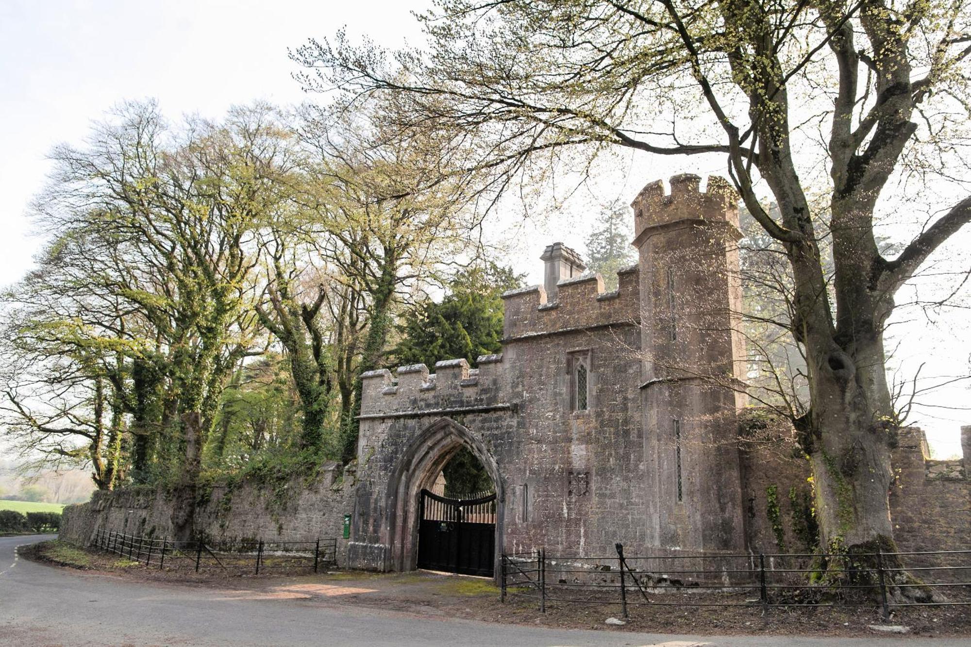 Willa Anne'S Grove Miniature Castle Castletownroche Zewnętrze zdjęcie